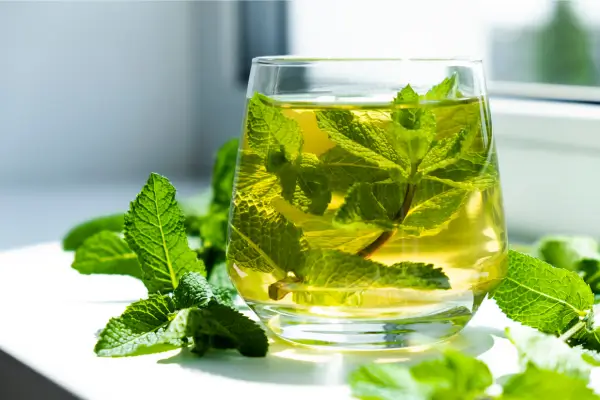 copo em cima de mesa com chá de menta